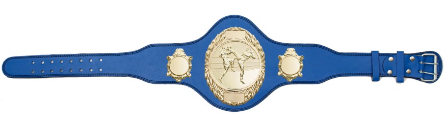 THAI BOXING TITLE BELT - PLT286/G/TBOG-4 COLOURS